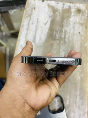 Apple iPhone 13 Pro 256/Gb (Used)