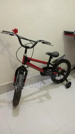 17-inch Bicycle