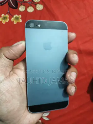 Apple iPhone 5S (Used)
