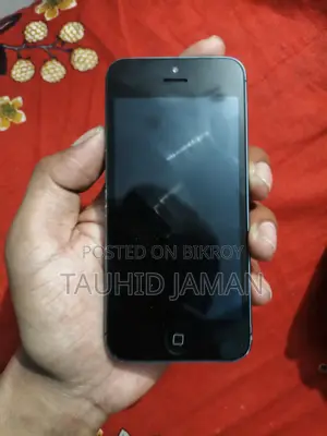 Apple iPhone 5S (Used)