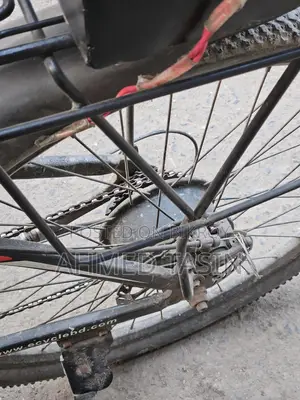 Bicycle For Sale
