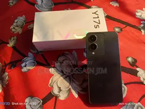Vivo Y17s (Used)