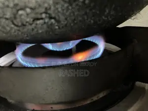 আরএফএল গ্যাস স্টোভ