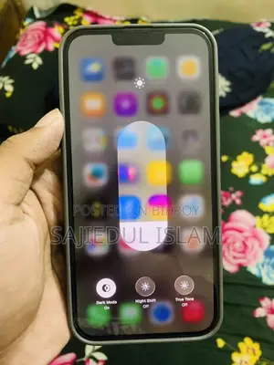 Apple iPhone 13 Pro Max (Used)