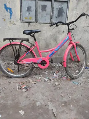 Duranta Bicycle For Sale