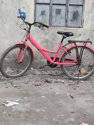 Duranta Bicycle For Sale