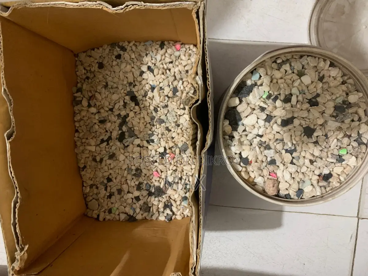 অ্যাকোয়ারিয়াম স্টোন