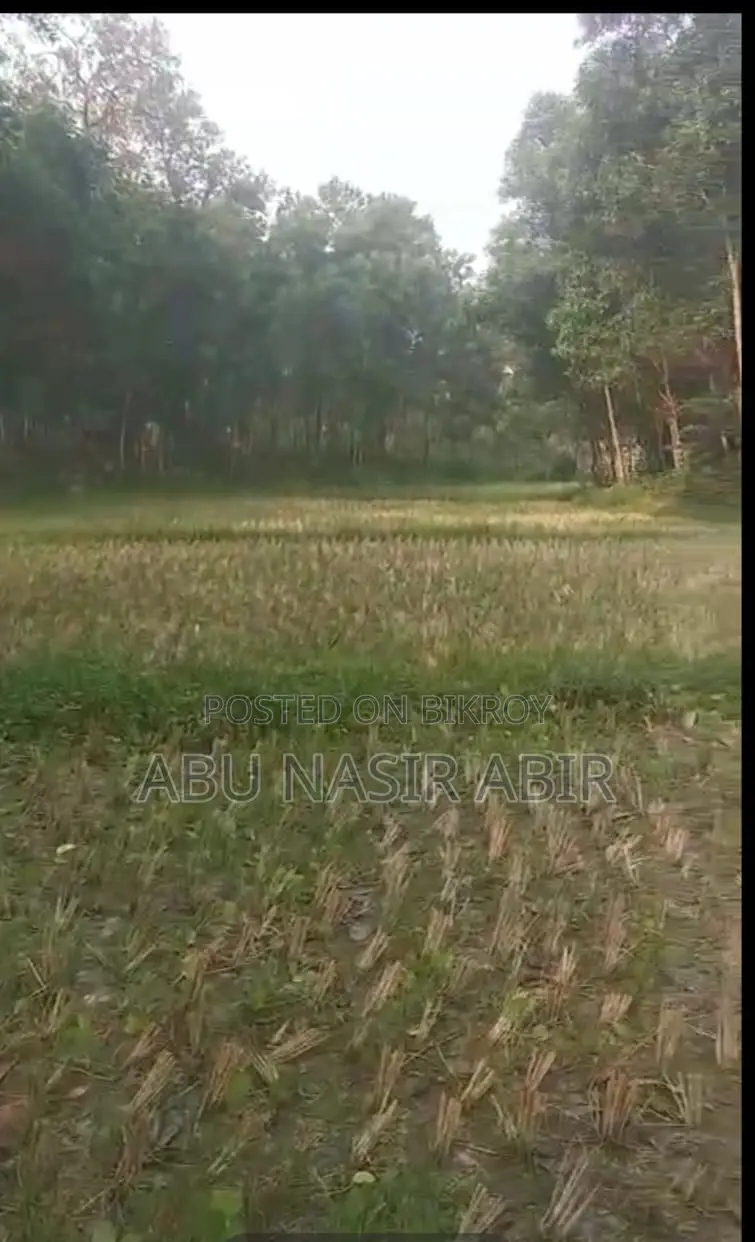 The land will be sold urgently!!!