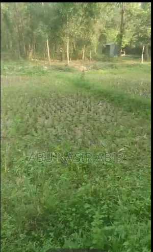 The land will be sold urgently!!!