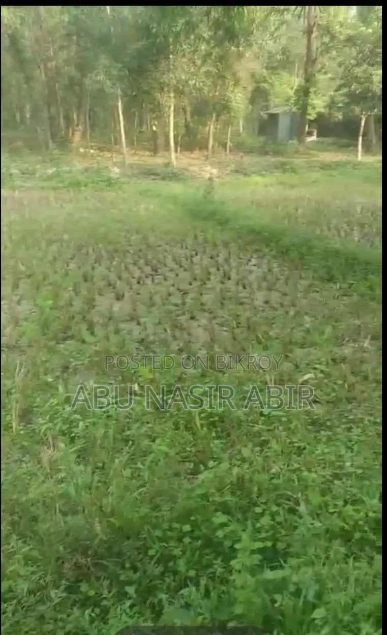 The land will be sold urgently!!!