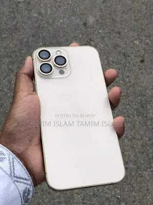 Apple iPhone 13 Pro Max (Used)