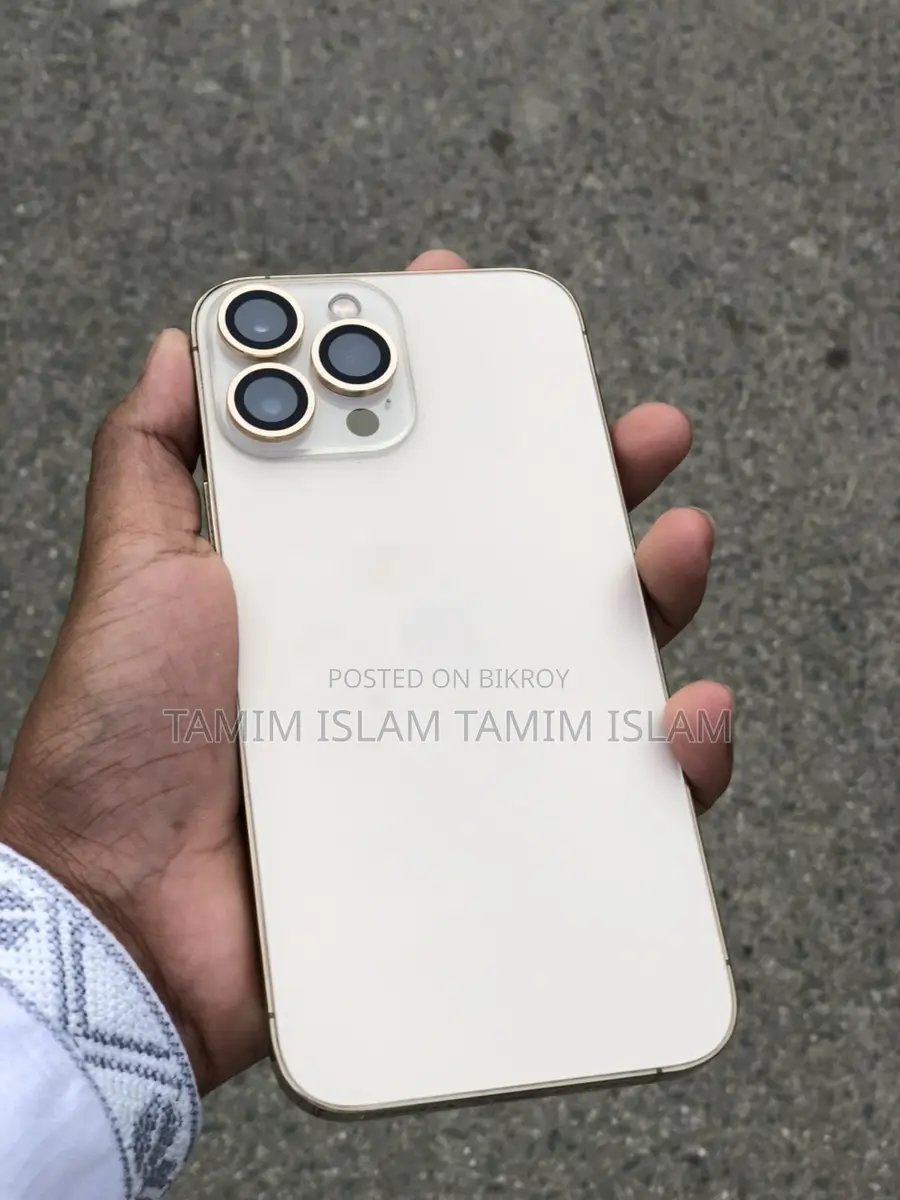 Apple iPhone 13 Pro Max (Used)