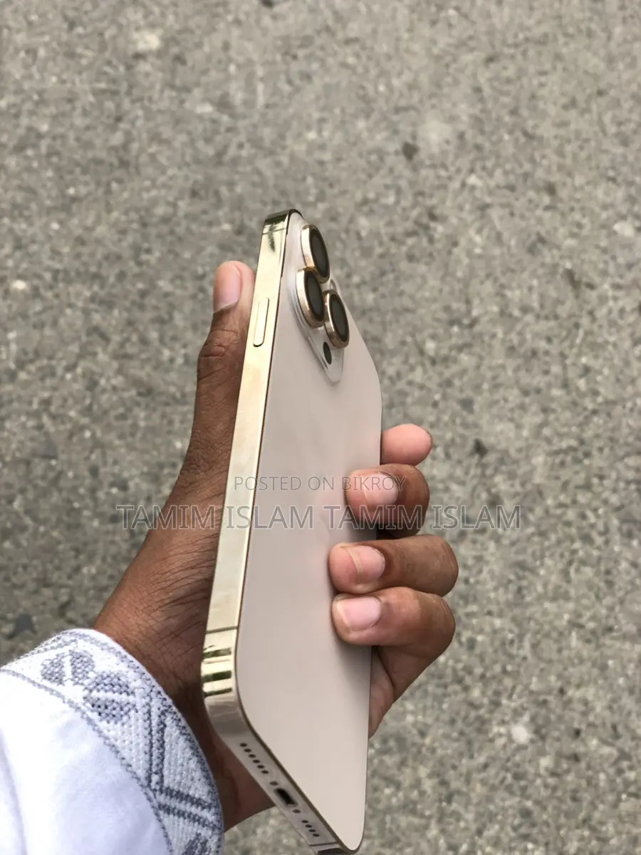Apple iPhone 13 Pro Max (Used)