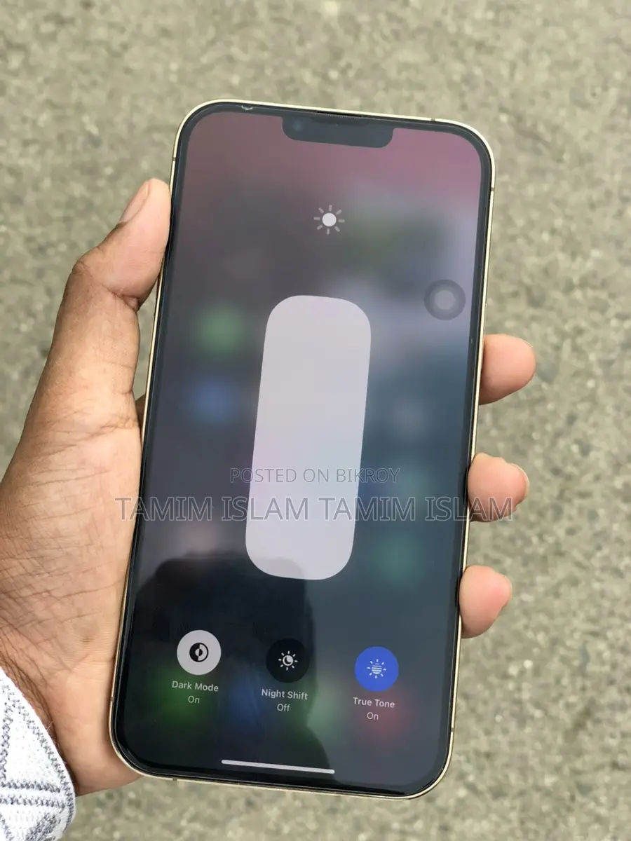 Apple iPhone 13 Pro Max (Used)