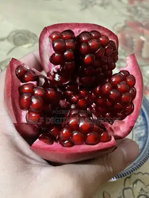আনার গাছ