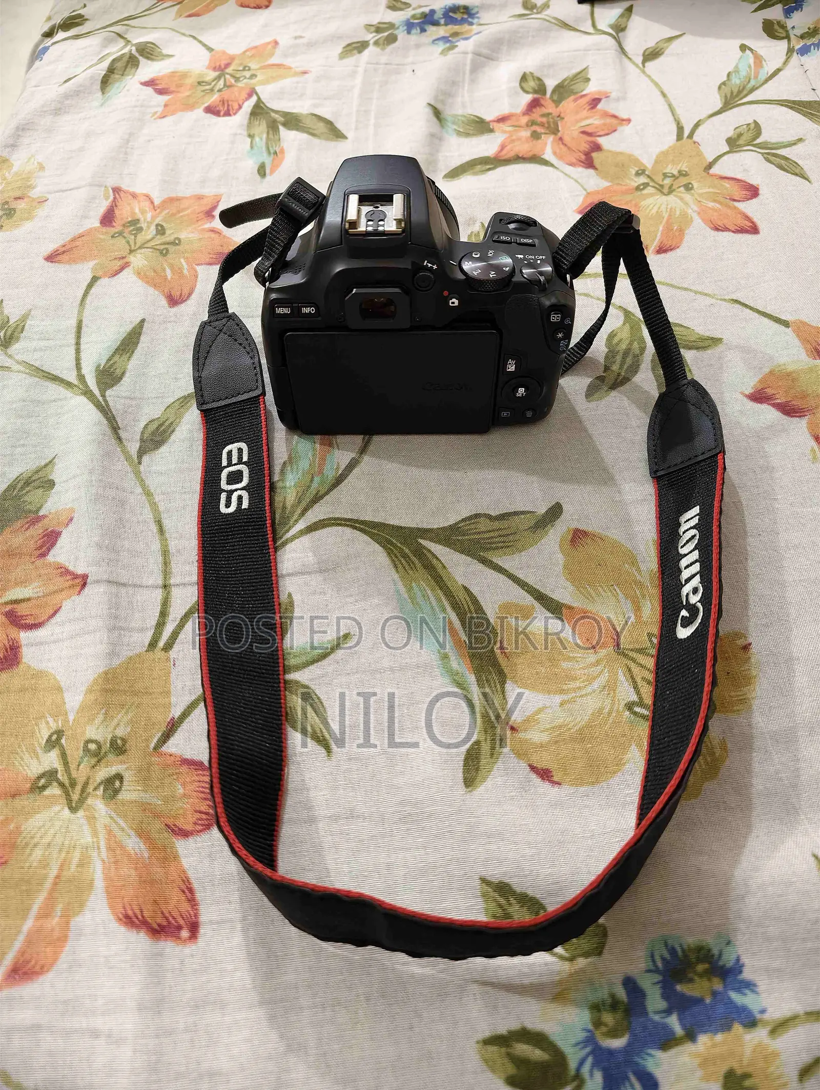 Canon 250d With 50 Mm Lens