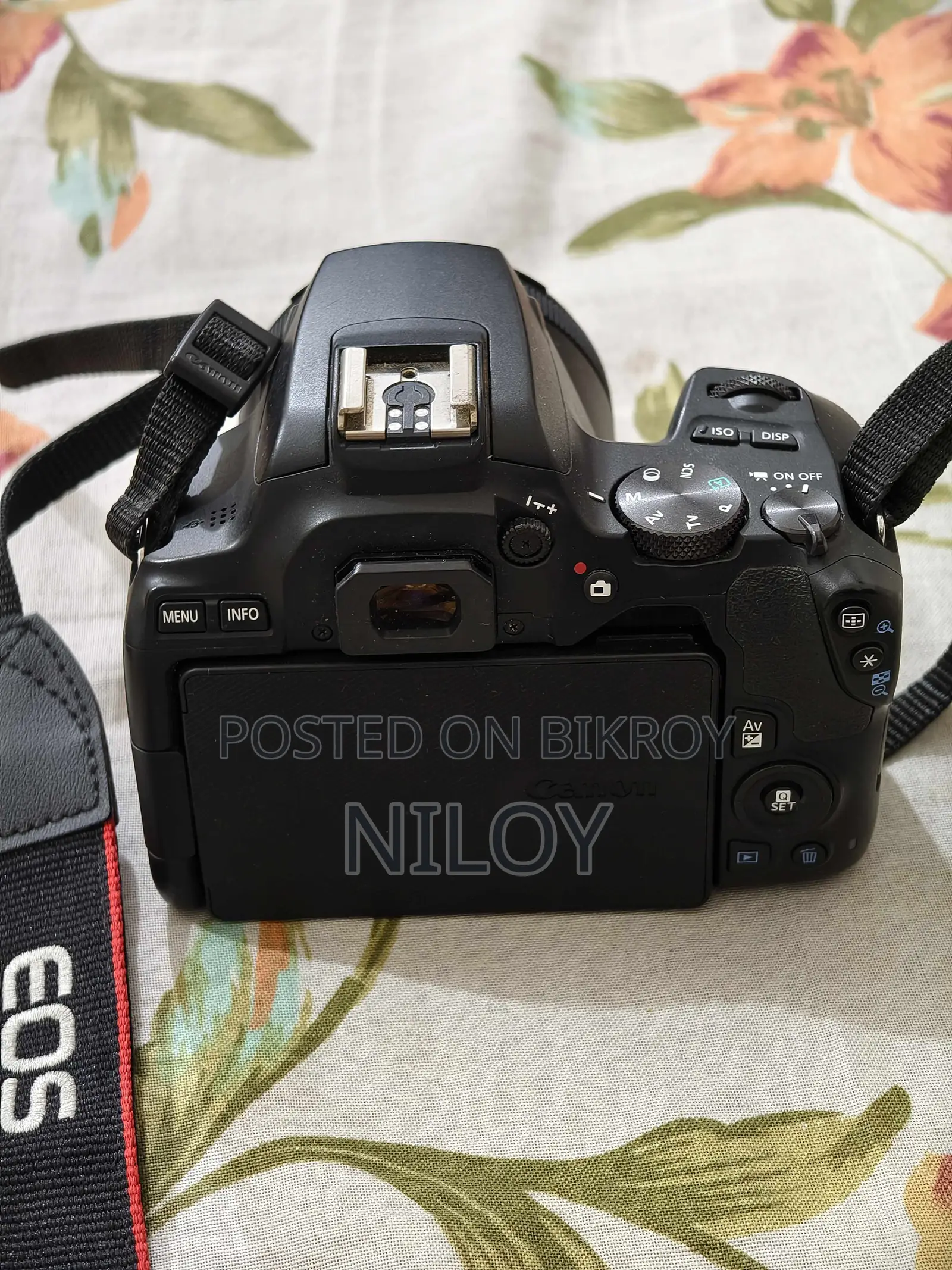 Canon 250d With 50 Mm Lens