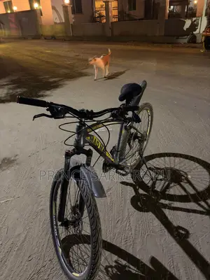 Bicycle for Sale