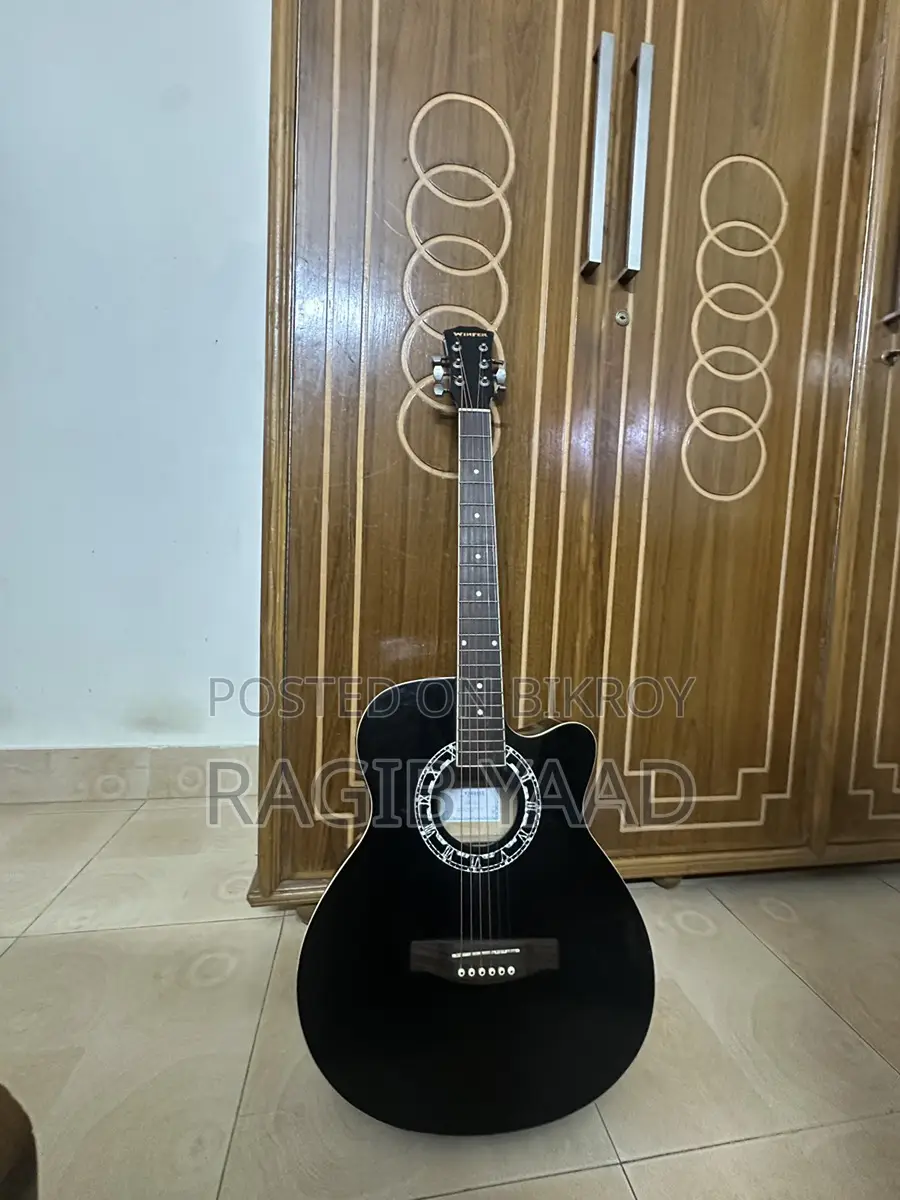 Winfer Guitar (Rare)