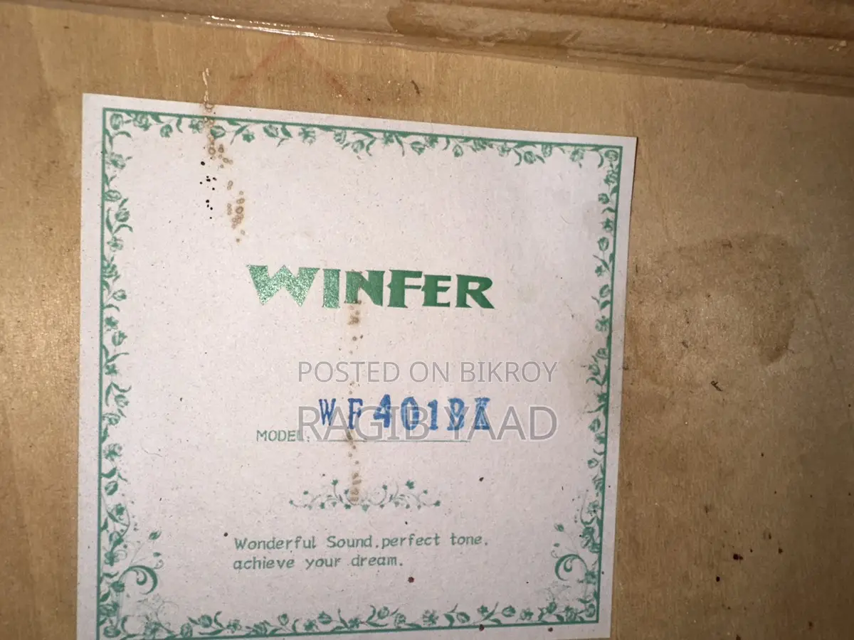 Winfer Guitar (Rare)