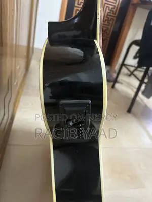Winfer Guitar (Rare)