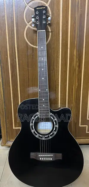 Winfer Guitar (Rare)