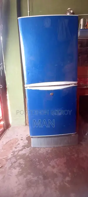 Jamuna Fridge for Sale