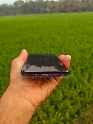 Apple iPhone 14 Pro Max (Used)