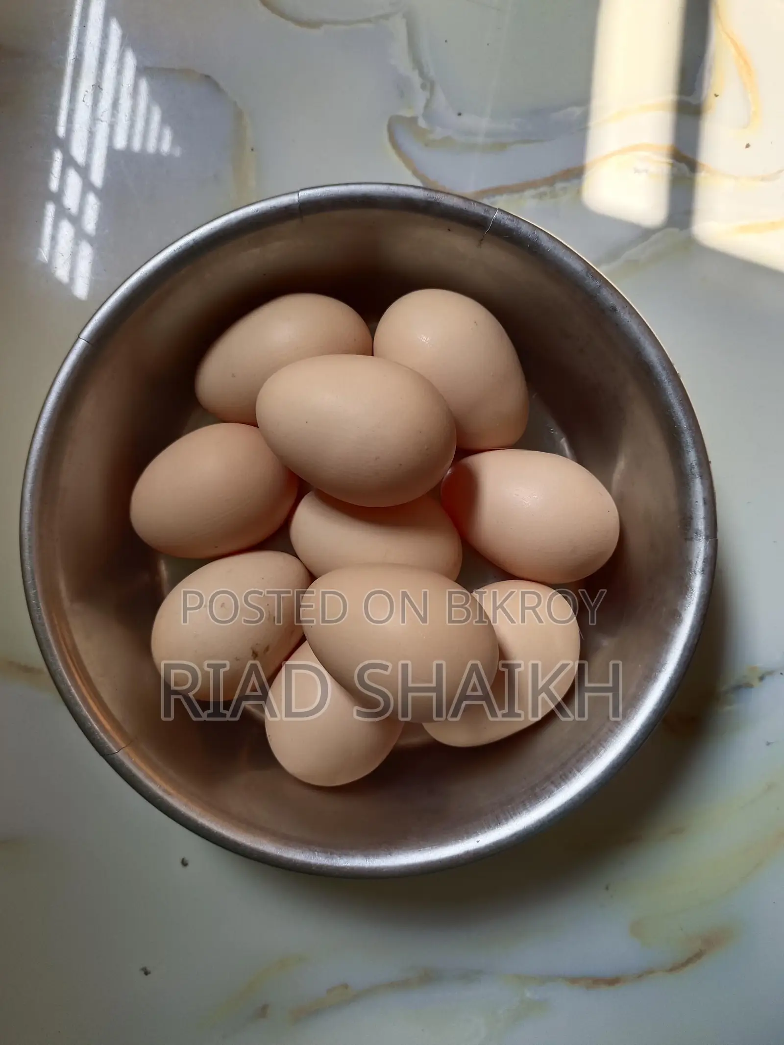 অরিজিনাল ব্রাহামা মুরগির ডিম