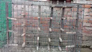 Cage for Sale