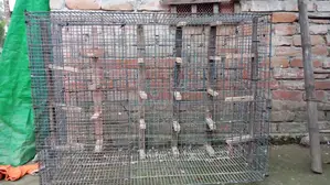 Cage for Sale