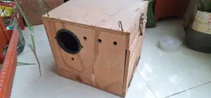 কোকাটেল পাখির ব্রিডিং বক্স