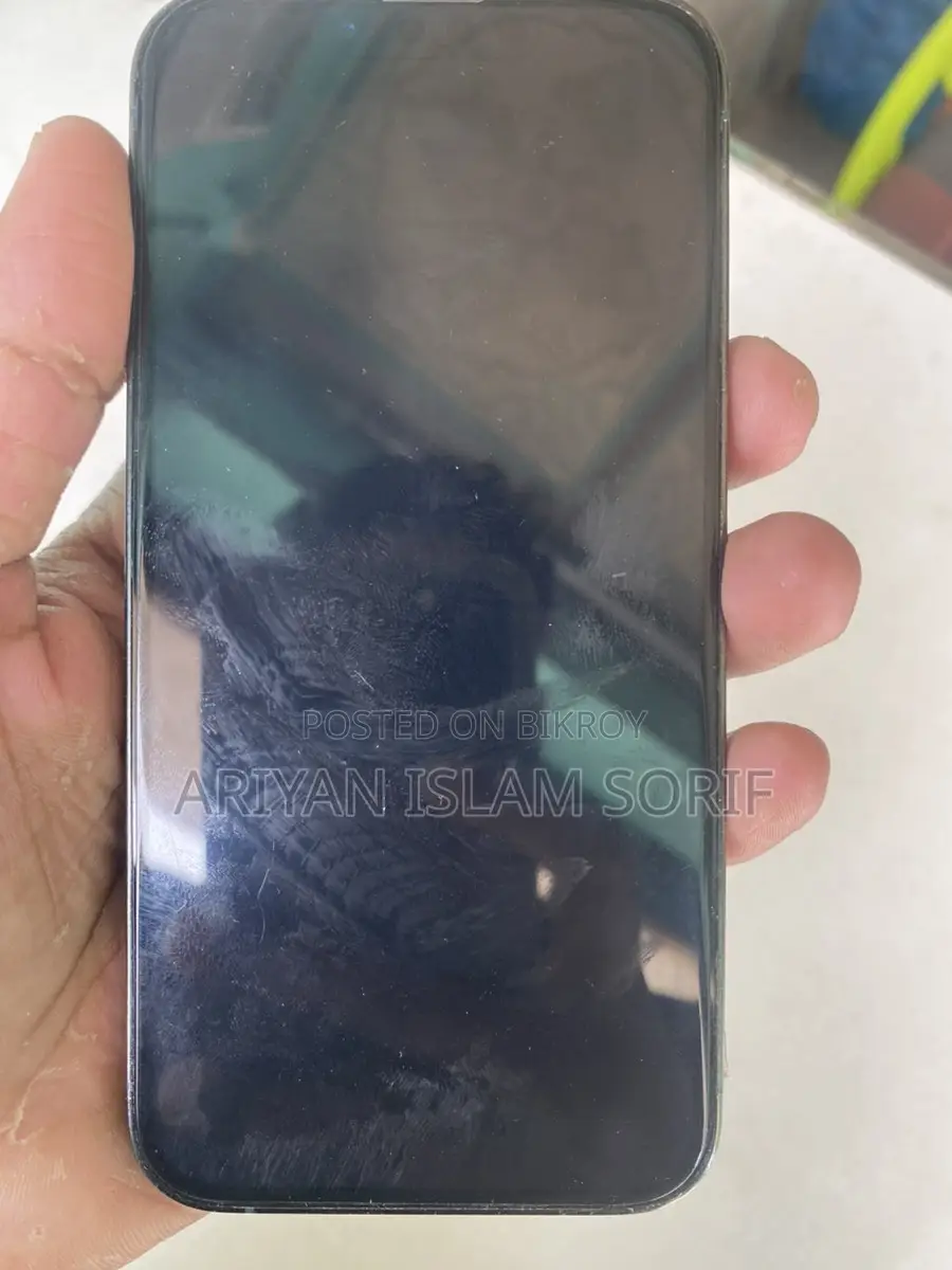 Apple iPhone 13 Pro (Used)
