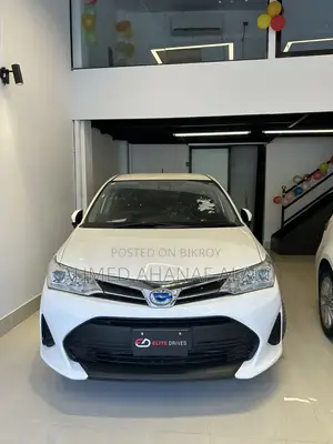 Toyota Fielder Ex 2020