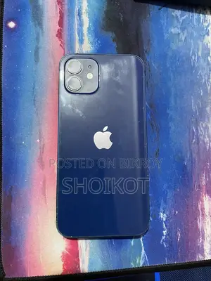Apple iPhone 12 (Used)