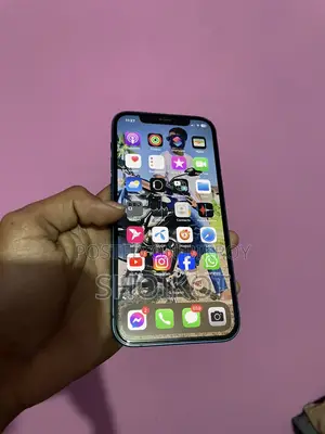 Apple iPhone 12 (Used)