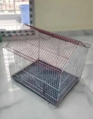 Chinese Bird's Cage(চাইনিজ খাঁচা)