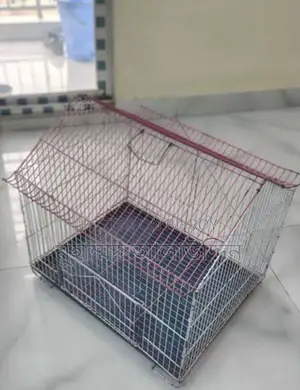 Chinese Bird's Cage(চাইনিজ খাঁচা)