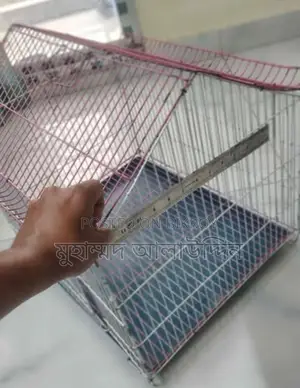 Chinese Bird's Cage(চাইনিজ খাঁচা)