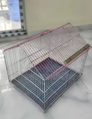 Chinese Bird's Cage(চাইনিজ খাঁচা)