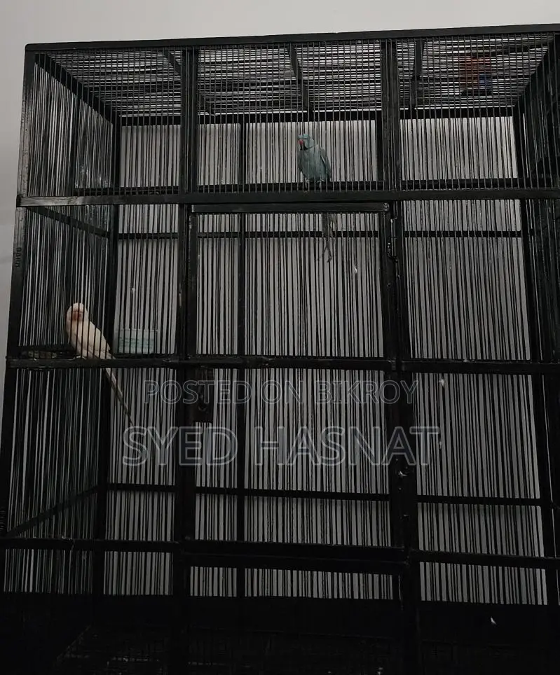 5ft/4ft Large Bird Cage with Wheels
