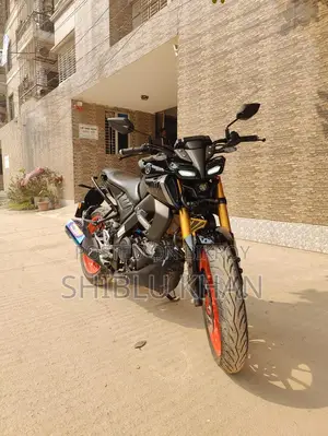 Yamaha MT 15 . 2024