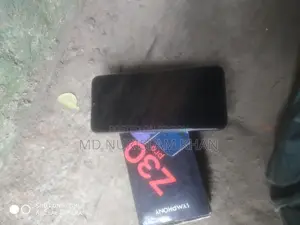 Symphony Z30 Pro (Used)