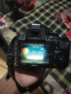 নিকন ডি ৩১০০