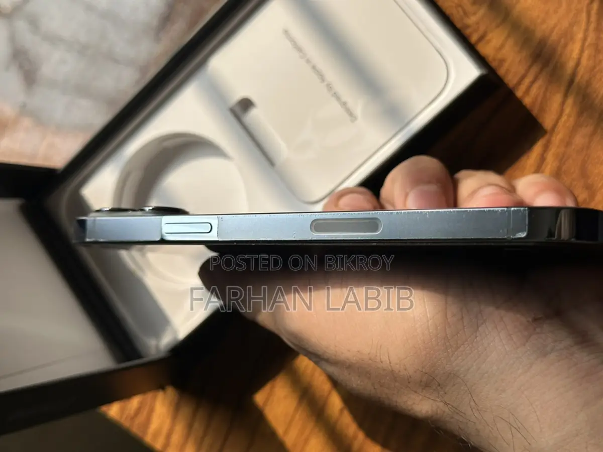 Apple iPhone 13 Pro Max (Used)