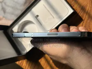 Apple iPhone 13 Pro Max (Used)