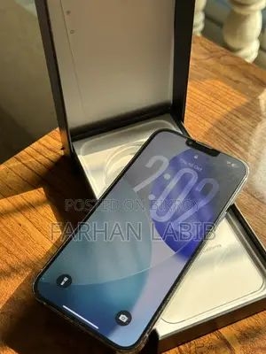 Apple iPhone 13 Pro Max (Used)