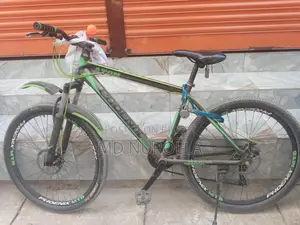 ফিনিক্স সাইকেল বিক্রির জন্য