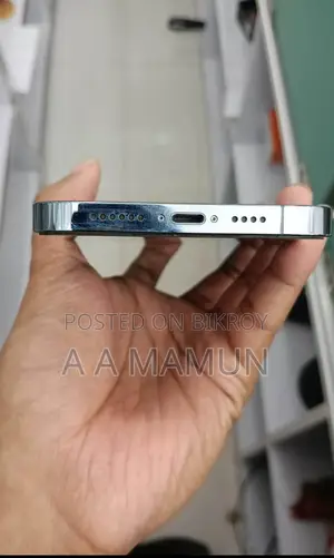 Apple iPhone 13 Pro Max (Used)