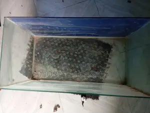 Aquarium For Sell Urgent
